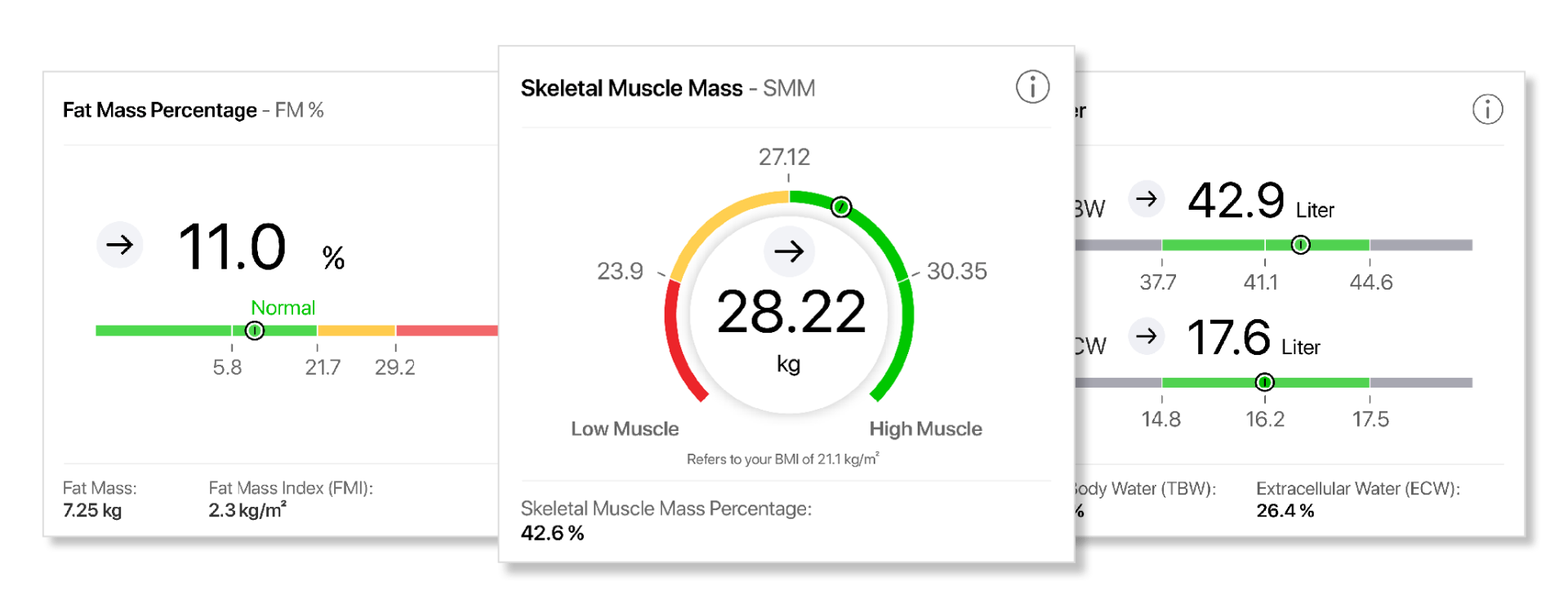 Skeletal muscle mass, fat percentage and water analysis cards