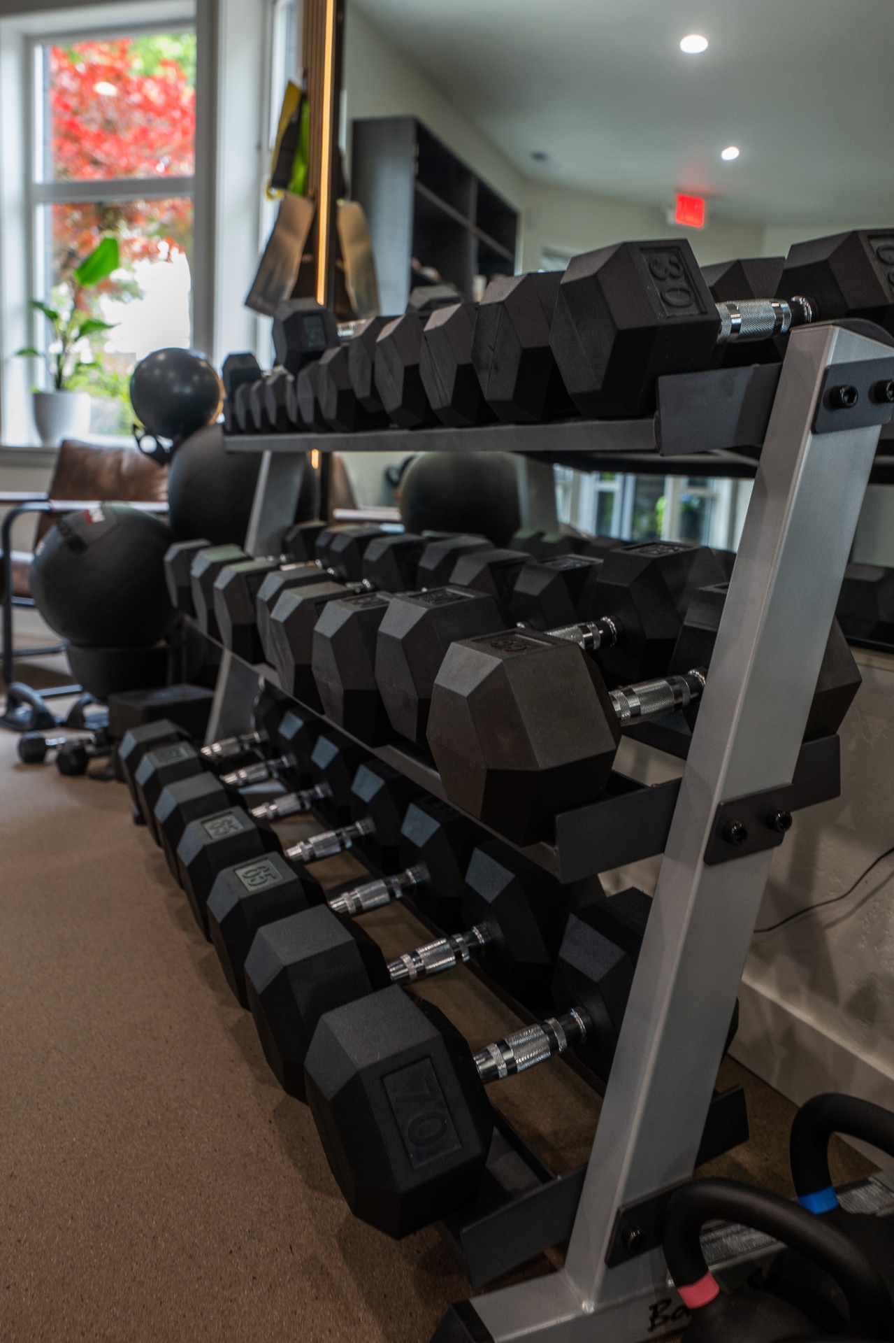 Dumbbell rack at NextGym